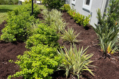 This is an example of a mid-sized full sun front yard mulch landscaping in Other.