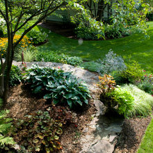 Wooded yard