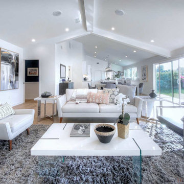 Distinctively Modern in Woodland Hills