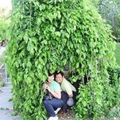 Momy Dady's photo