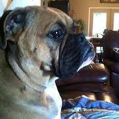 Wanda Wester's photo