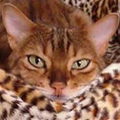 Ellie Burney's photo