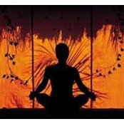 Sharon Loya's photo