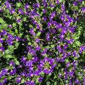 Susan Russell's photo