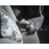 Betty Weinheimer Morin's photo