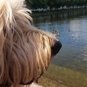 Foto von Sandra Wunderlich
