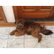 Donna Jakubowski's photo