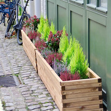 Planters