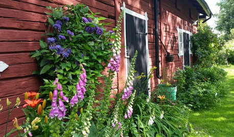 Midsommarinspo: Drömplatserna att fira på