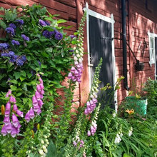 Midsommarinspo: Drömplatserna att fira på