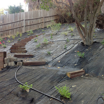 Backyard Drought-tolerant Design with Retaining Walls--DURING