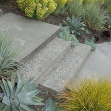 Garden/Yard