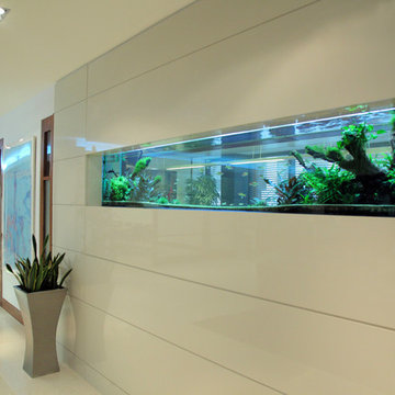 Boardroom Aquarium