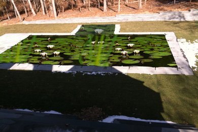 Water Lily Illusion swimming pool cover