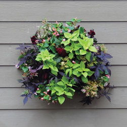 Living Wall Planter - Outdoor Decor