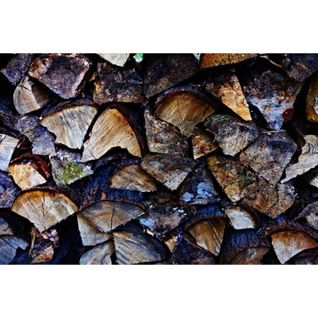 "Wood I" Museum Mounted Canvas Print, 24"x18"