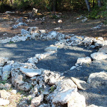 Jester's Crown