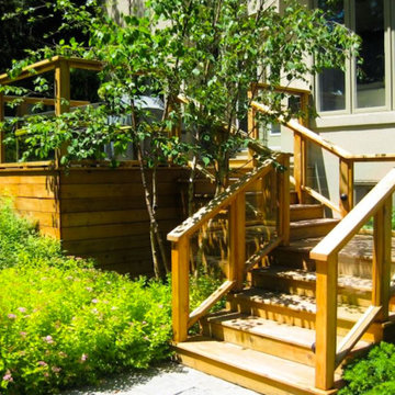 Cedar Decks