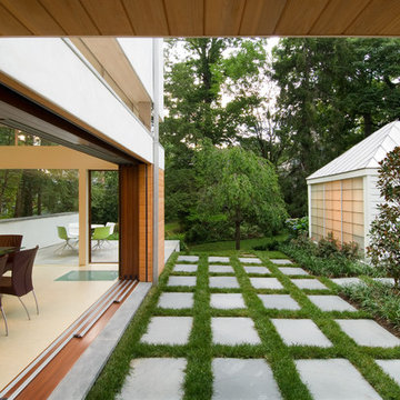Tree House