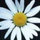 melissa_fallon74