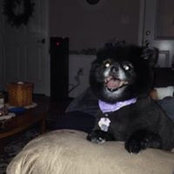 Debbie Hunt's photo