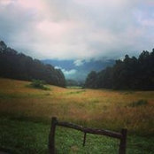 Amy Sloan's photo