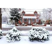 Jami Solli's photo
