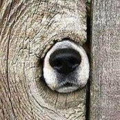 Ted Burris's photo