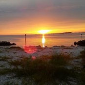 Laura Morris's photo
