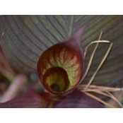 Caroline Miller's photo