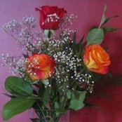 Chantal Houle's photo