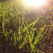 Cam Parkerさんの写真