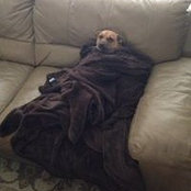 Mark Bacus's photo