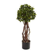 topiary