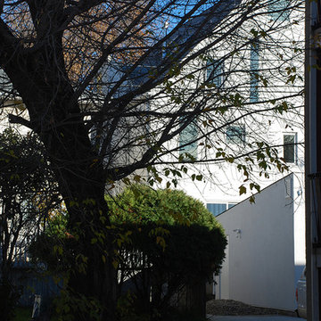 View from the Neighbouring Property