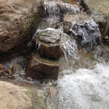 Backyard Fish Pond Installation