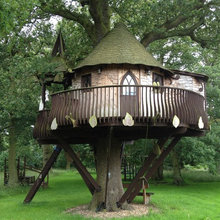 Tree House