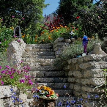 Water harvesting xer