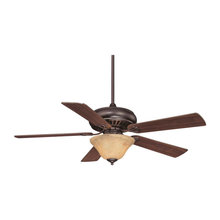 Light Fixtures and Ceiling Fans
