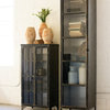 IRON AND GLASS TWO DOOR APOTHECARY CABINET