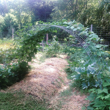 Fencing & Trellising
