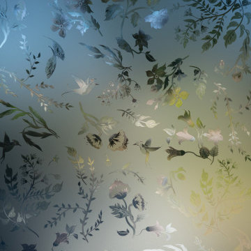 Residential Graphic Privacy Films