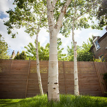 garden ideas