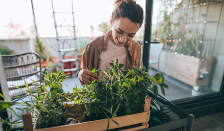 Casas felices: Transforma tu hogar en el mejor lugar posible