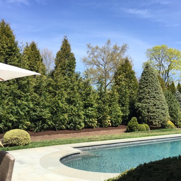 Privacy Hedge by Pool