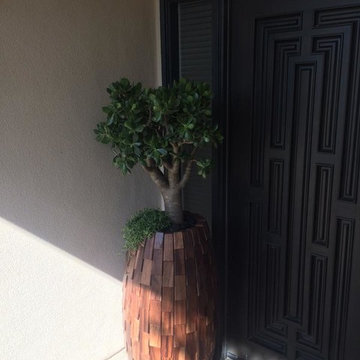 Natural Container Collection