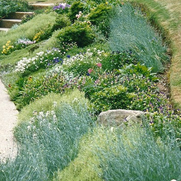 Steep hillside with naturalistic garden full of color and texture