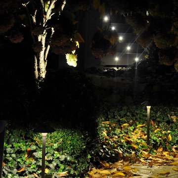 Dramatic Outdoor Lighting