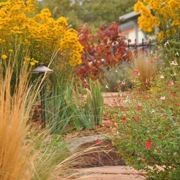 Drought Tolerant Landscaping