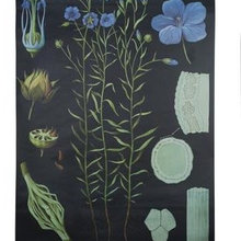wall treatment